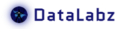 datalabz-logo